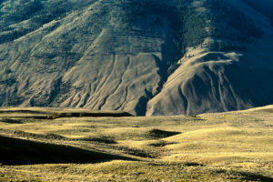 South Okanagan Grasslands Provincial Park in Canada’s Great Basin BCR. © A.M. Bezener