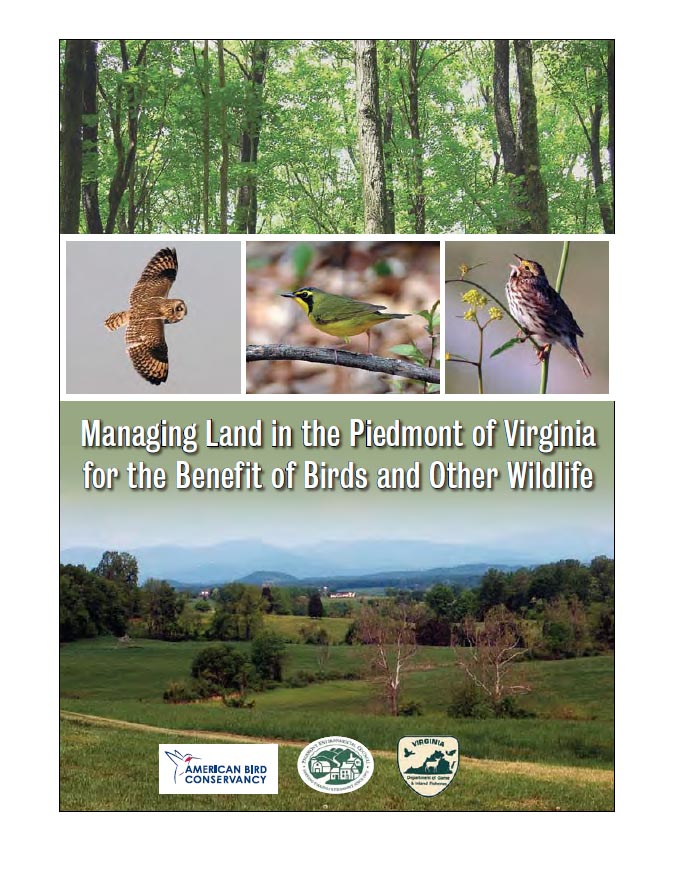 Managing Land in the Piedmont of Virginia for the Benefit of Birds and
