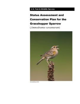 Cover of the Grasshopper Sparrow Focal Species Plan (2015)