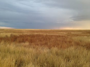 Pawnee-National-Grasslands-CO-©-Ken-Rosenberg