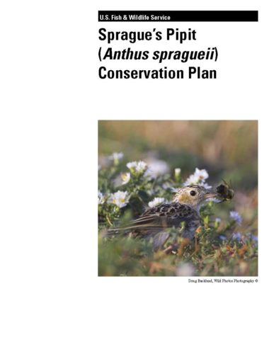 Cover for Spragues Pipit Focal Species Plan (2010)