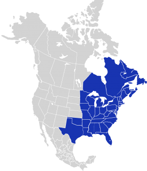 Map of North America with Eastern US States and Canadian Provinces participating in the Eastern Working Group highlighted